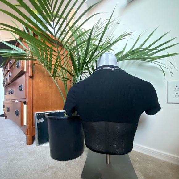 Mock Neck Mesh Crop Top - Picture 2 of 2